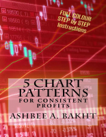 5-Chart-Patterns-For-Consistent-Profits-Ashbee-A-Bakht.pdf